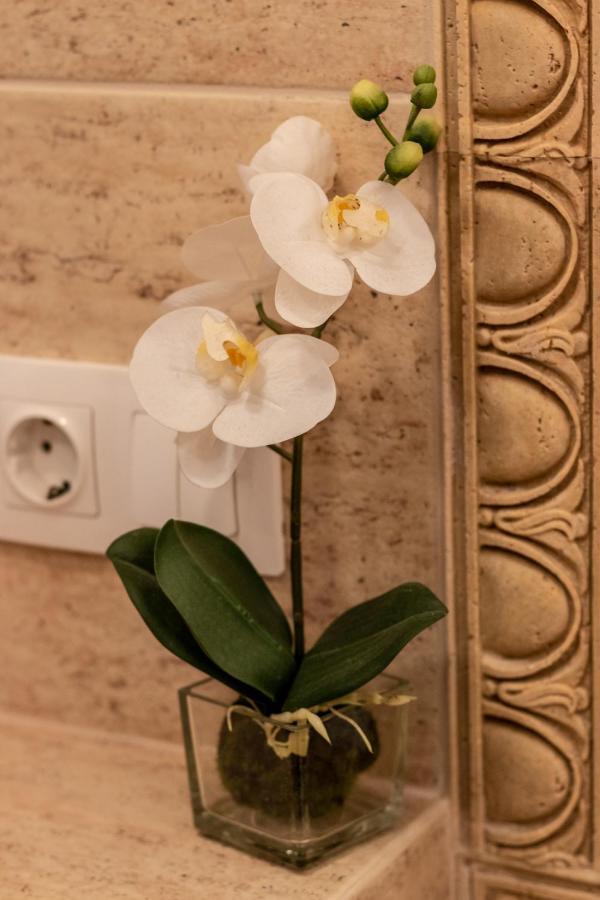 Lux Green Apartament Brașov